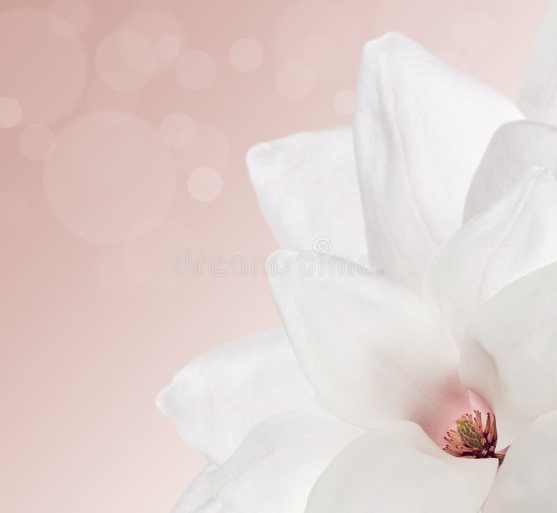 Pink Ice Cream with Palm Leaves and Umbrella on a Yellow Background