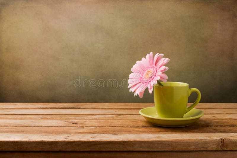 https://thumbs.dreamstime.com/b/pink-daisy-flower-green-cup-28094491.jpg