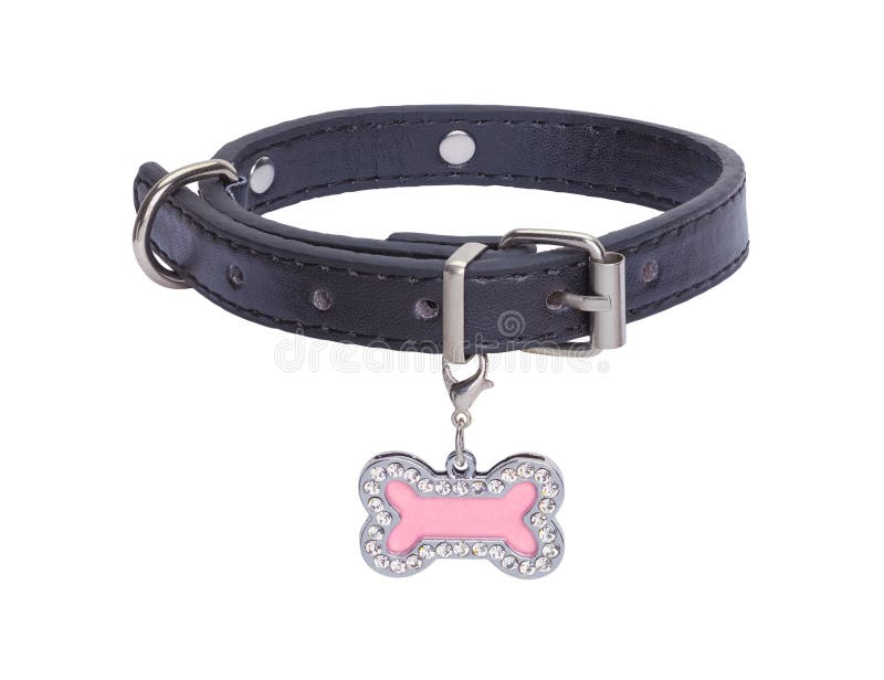 dog and bone collars