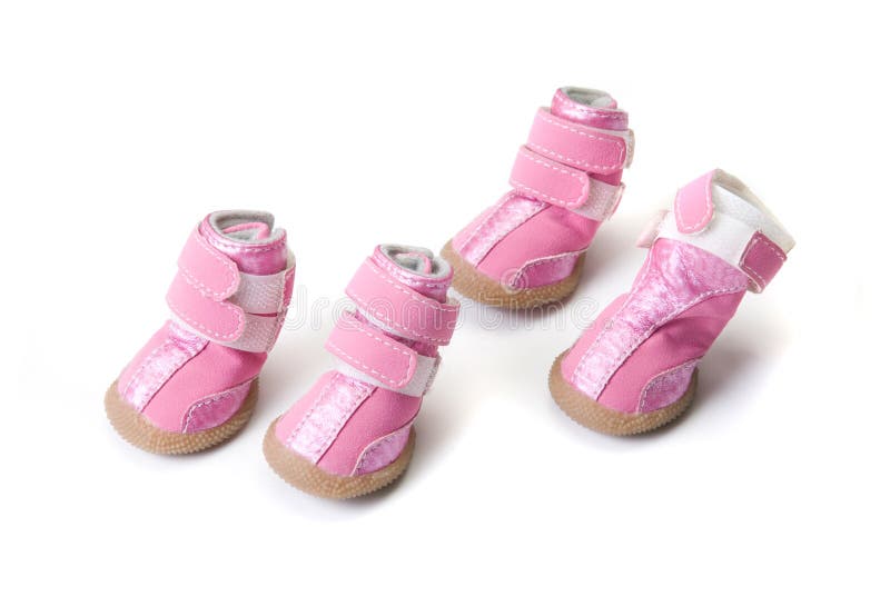 Pink Dogs boots stock photo. Image of paws, animal, lovely 12398812