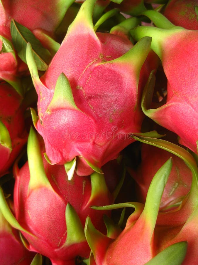 Pink dragon fruit