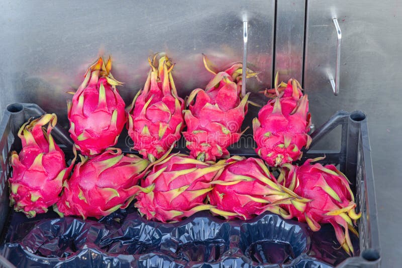 Pink Dragon Fruit stock image. Image of 2023, istanbul 300445441