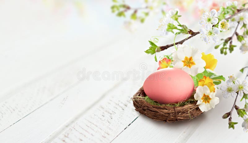 A pink easter egg rests in small nest surrounded by white and yellow spring flowers delicate blossoming branches hang above on royalty-vrije stock afbeelding