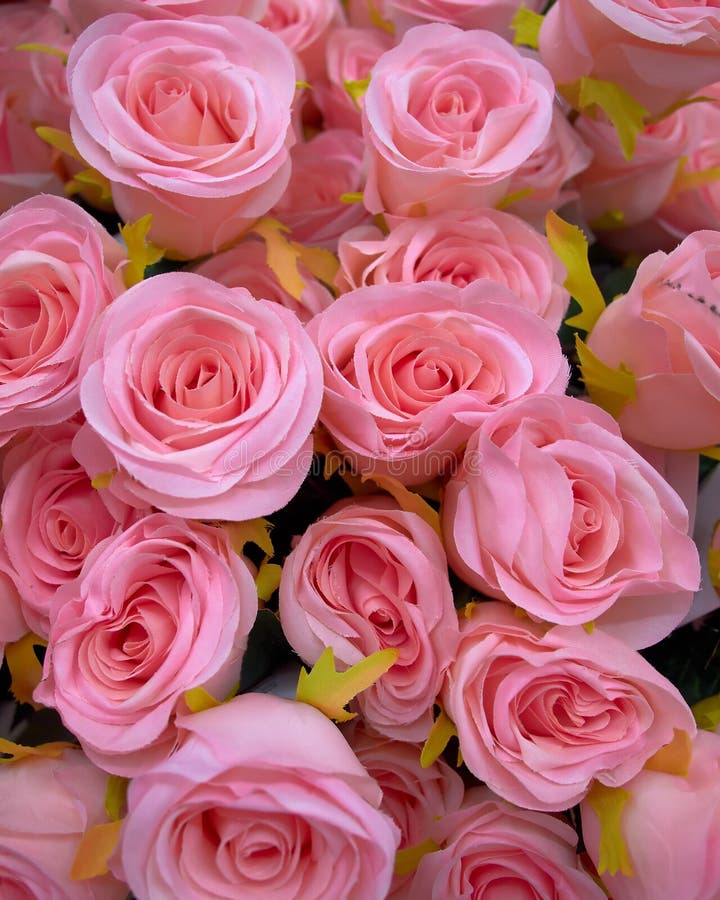 Pink fake roses bunch stock photo. Image of flower, rose 22820844
