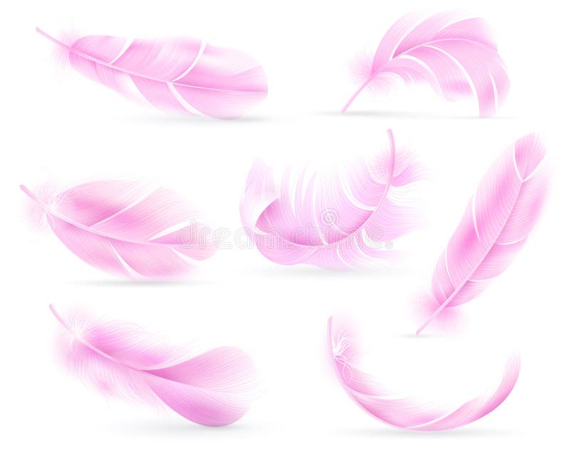 Pink feathers. Flying fluffy swan, falling flamingo 3d wings feather, By  YummyBuum