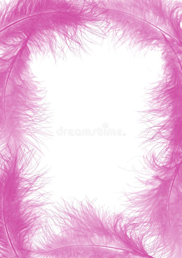 Pink feathers - frame royalty free stock photo Pink feathers - frame royalty free stock photo