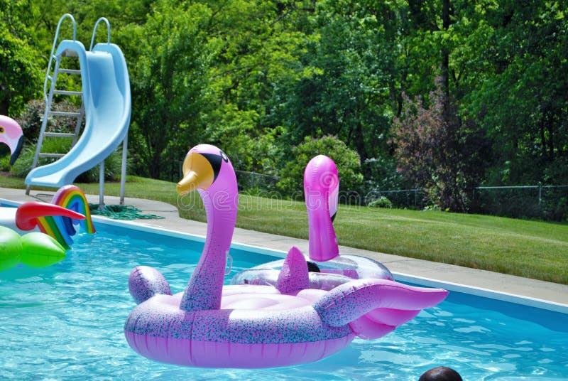 Pink flamingo inflatable floating in a backyard swimming pool stock photos