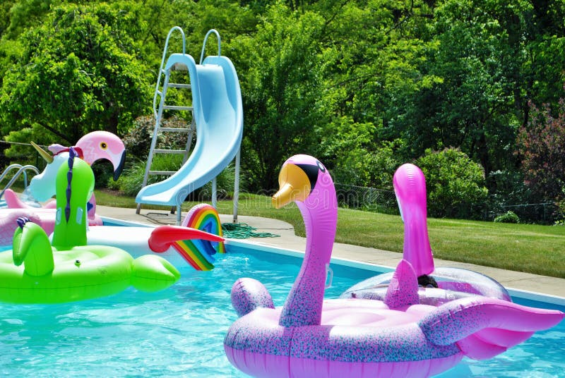 Pink flamingo inflatable floating in a backyard swimming pool royalty free stock images