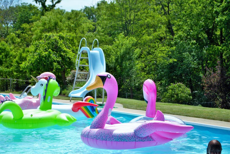 Pink flamingo inflatable floating in a backyard swimming pool stock image