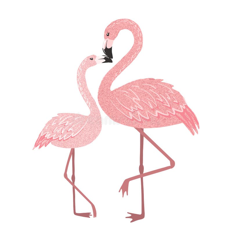 mommy and baby flamingo clipart mommy and baby flamingo clipart