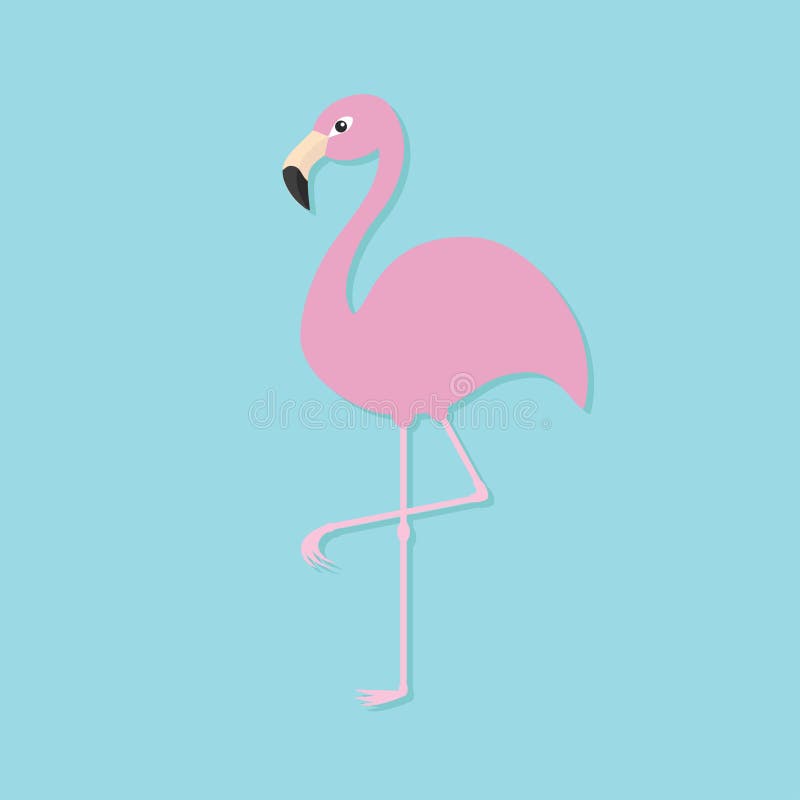 Pink flamingo on one leg. Exotic tropical bird. Zoo animal collection.