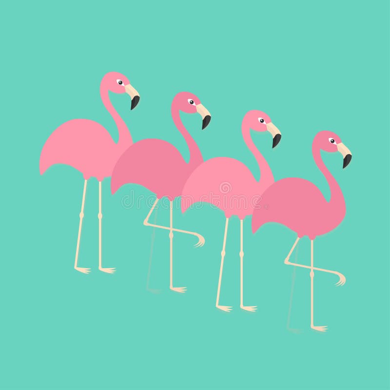 Pink flamingo set. Exotic tropical bird. Zoo animal collection