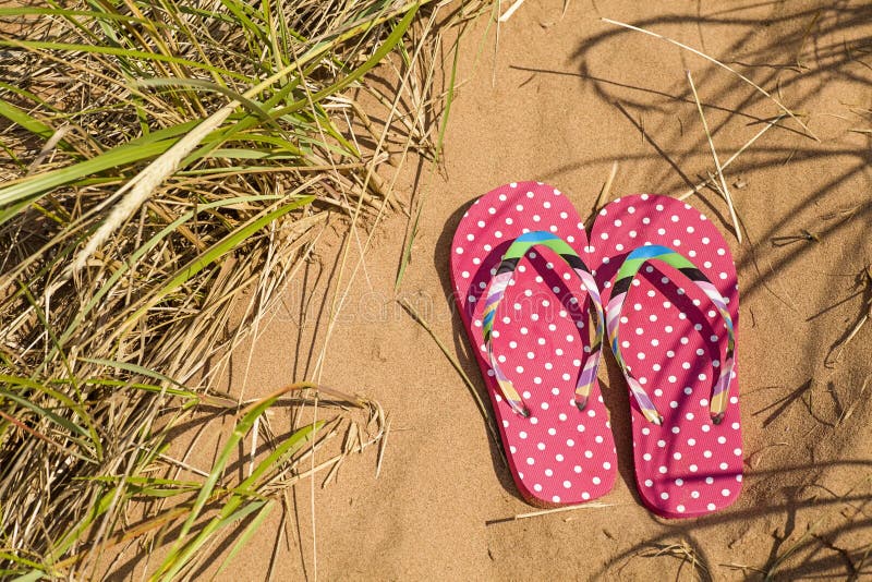 Pink Flip Flops stock image. Image of beach, creative - 24566139