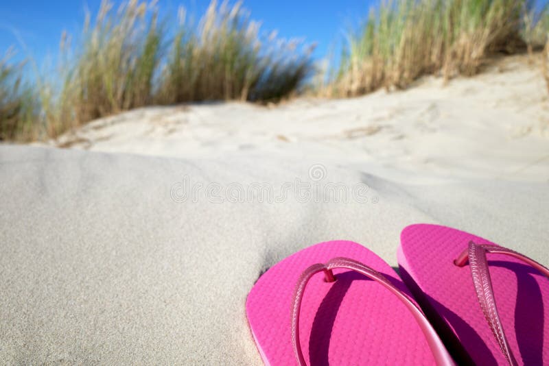 Pink Flipflops at the Beach with Sand Dunes and Copy Space Stock Photo