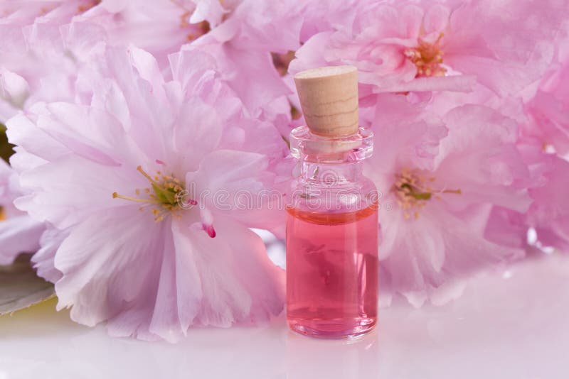 Pink Flower and Aroma Essence Stock Image Image of essential, placebo
