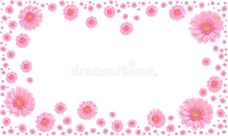 Pink flower frame on white background