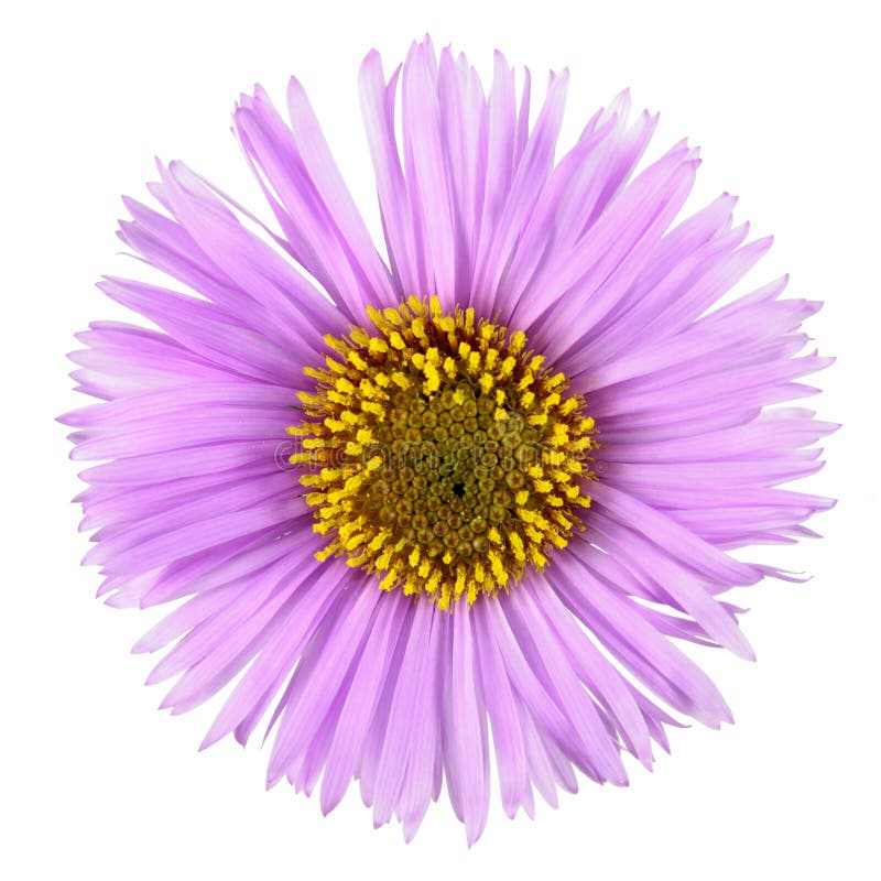 My Image 13