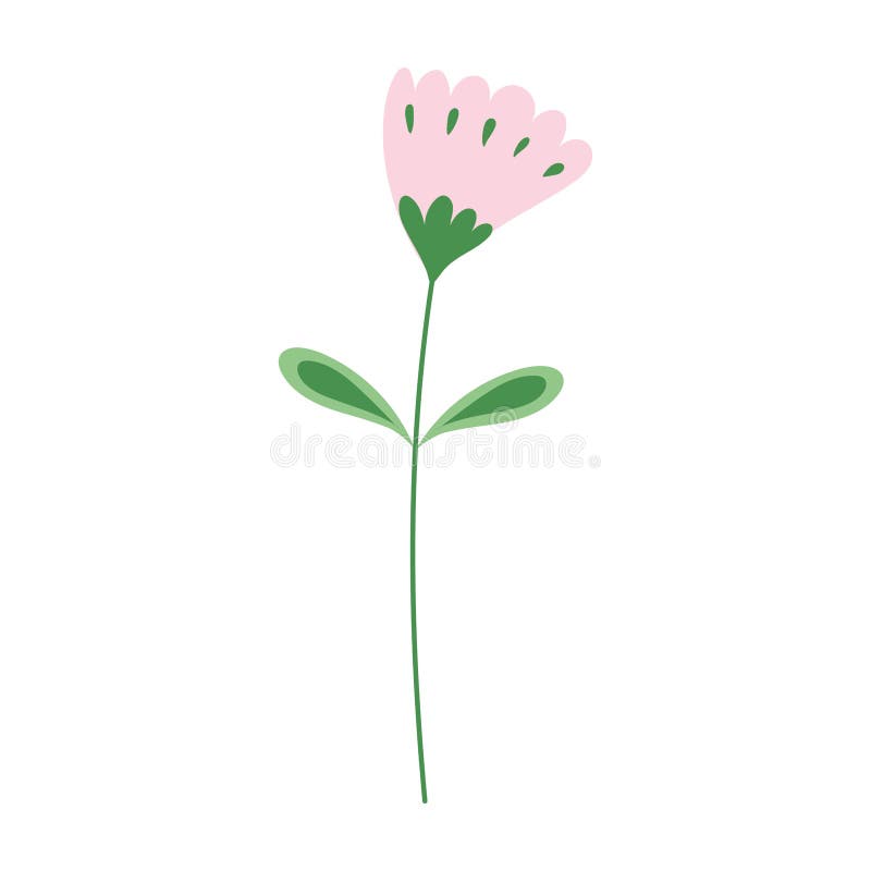 flower stem leaves petals nature decoration icon vector