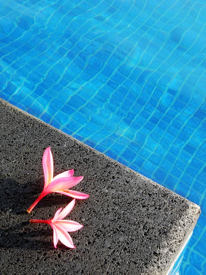 Pink flowers by blue pool, tropical resort hotel stock images Pink flowers by blue pool, tropical resort hotel stock images