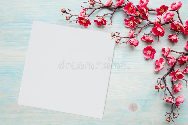 Pink flowers on blue wooden background and paper sheet