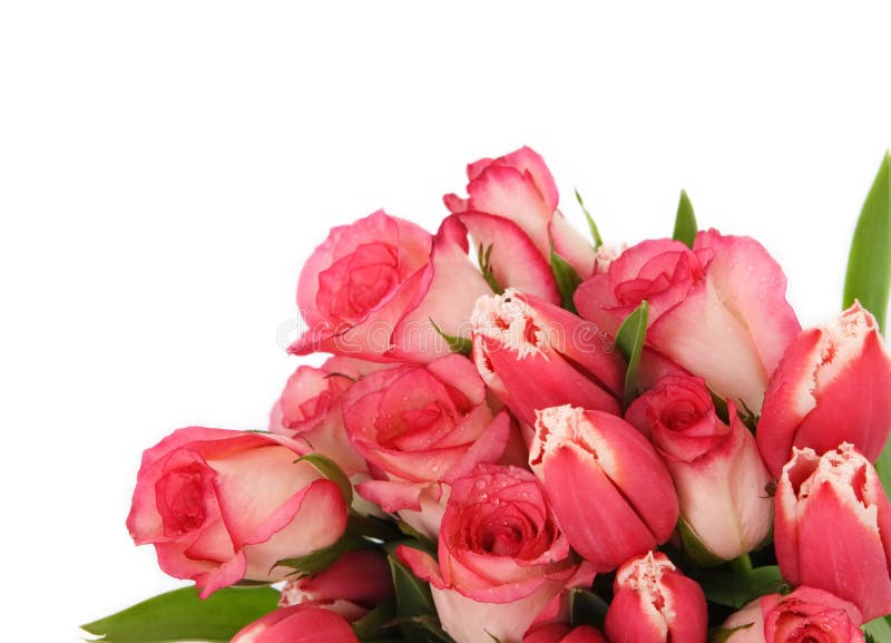 Corner oriented bouquet of pink fringed tulips and roses with water drops. Corner oriented bouquet of pink fringed tulips and roses with water drops.