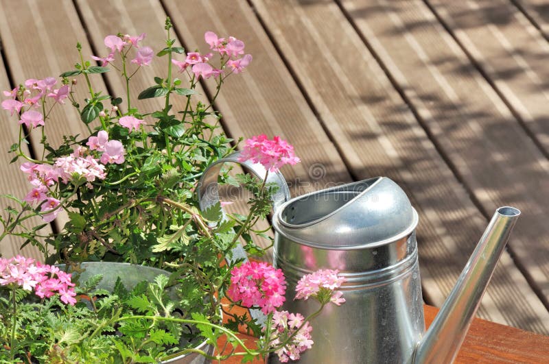 Pink flowers an can water on a terrace