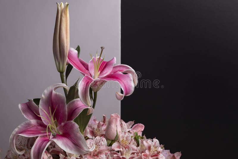 Flower Details of a Pink Flower Arrangement. Set of Pink Flowers and  Details. Stock Image - Image of green, alstroemeria: 205864265