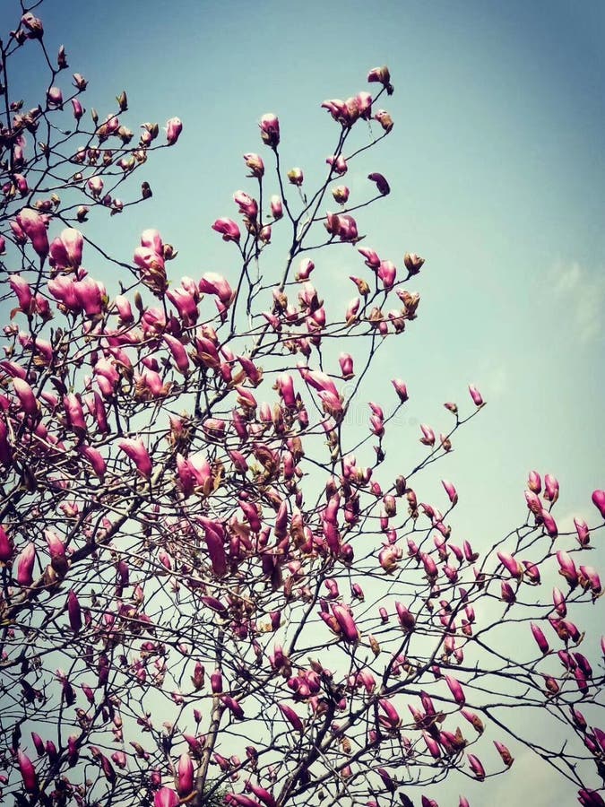 Withour Clouds Stock Photos Free & RoyaltyFree Stock Photos from