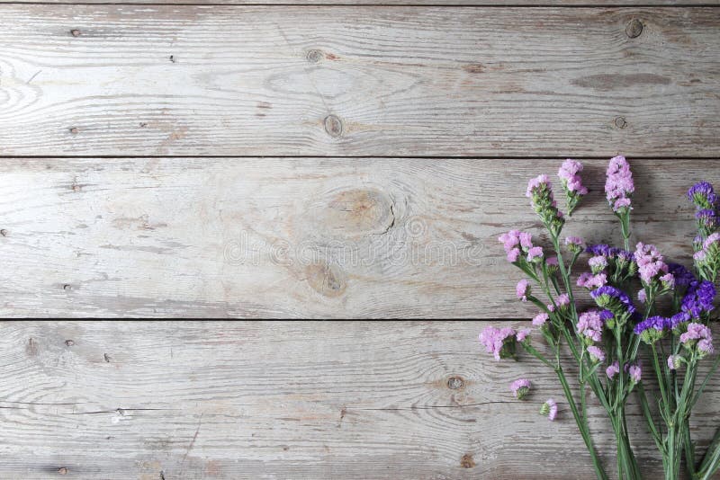 Pink Flowers on Table Wooden  Space for Text on Wood Stock  Photo - Image of plant, botanical: 151753606