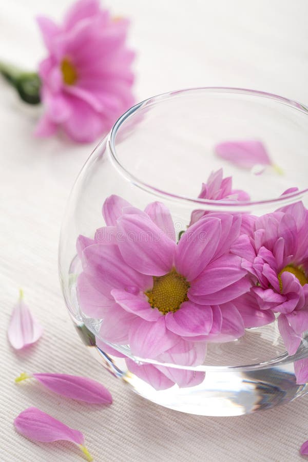 Pink flowers in vase stock image. Image of therapy, water 15958271