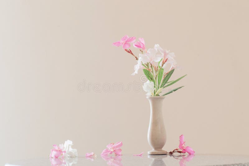 Pink flowers in vase stock photo. Image of bloom, life 84146884