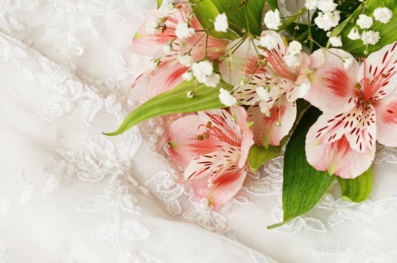 Pink lace stock photo. Image of pink, background, nature 29918912