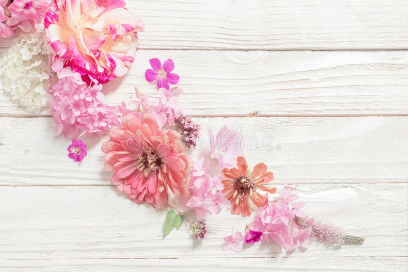 Flowers on White Wooden Background Stock Photo Image of flowers
