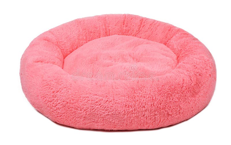 Pink Fluffy Dog Bed on Isolated Background Stock Photo Image of rest