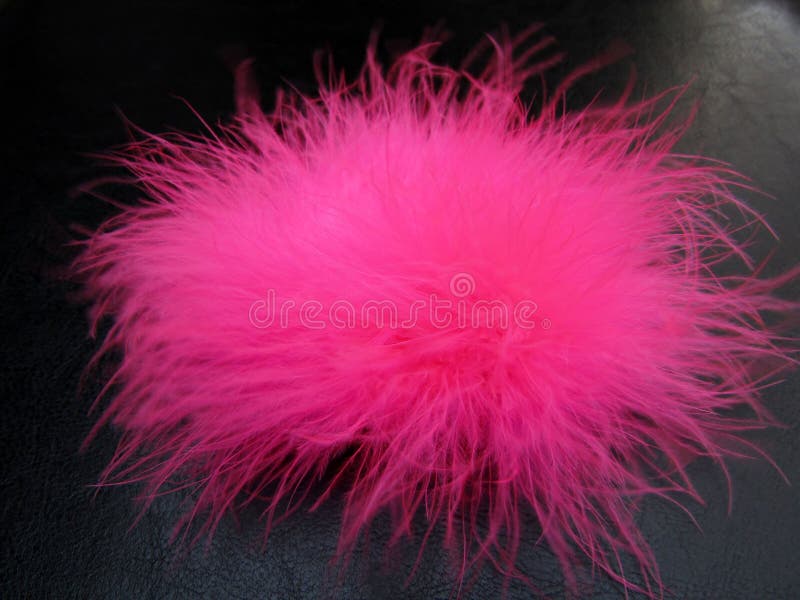 Pink Fluffy Feather Ball on Black Background Stock Photo Image of