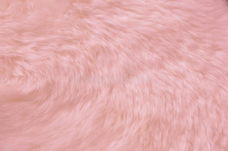 detail of abstract texture background with sweet pink fur, background of  artificial fuzzy fur in pink color, beautiful close up of light pink fake  fur background for decoration Stock Photo