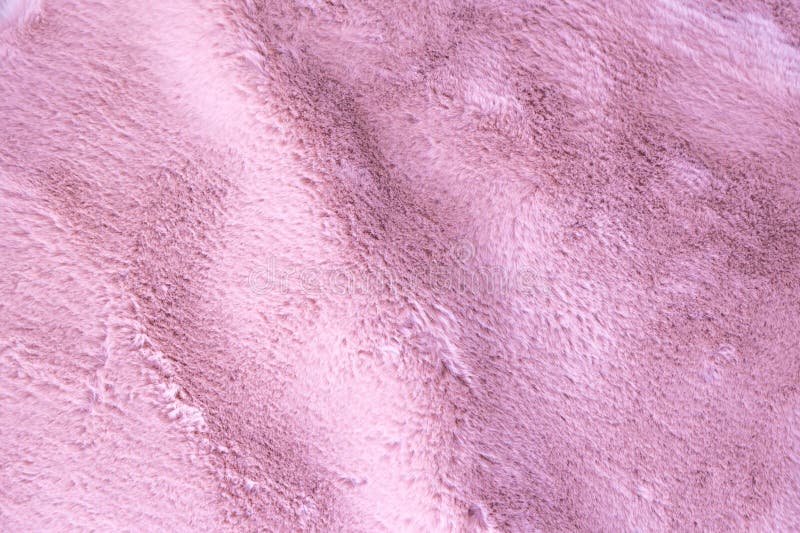 Pink Fur Background,fluffy Powdery Carpet Stock Image Image of home