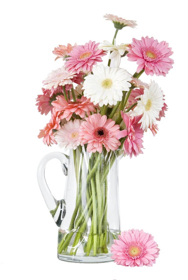 White Daisies Glass Vase Free Stock Photos & Pictures, White Daisies