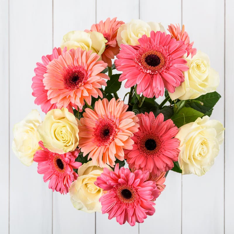 Pink Gerbera Flowers and White Roses Bouquet Stock Image Image of
