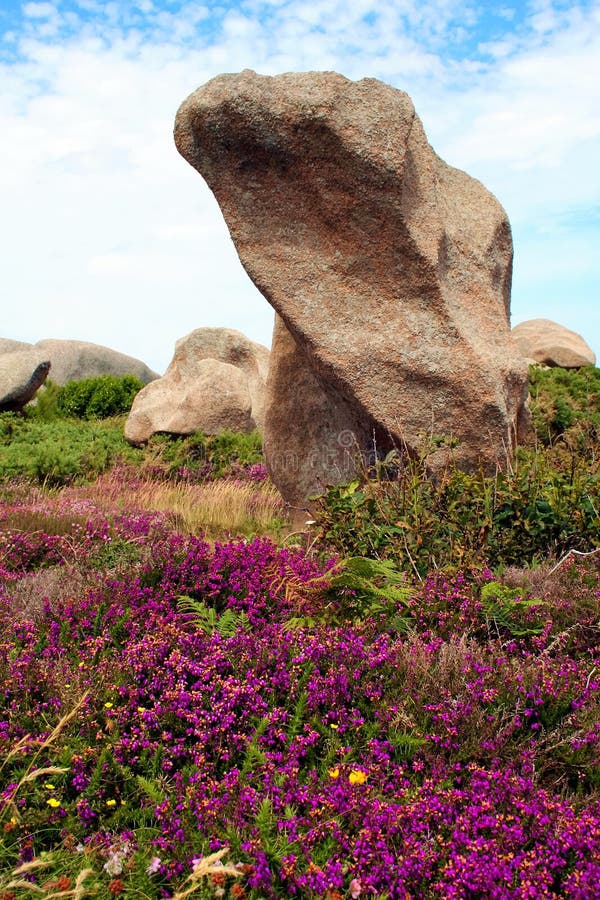 The Pink Granite Coast At Ploumanach Brittany France Stock Image