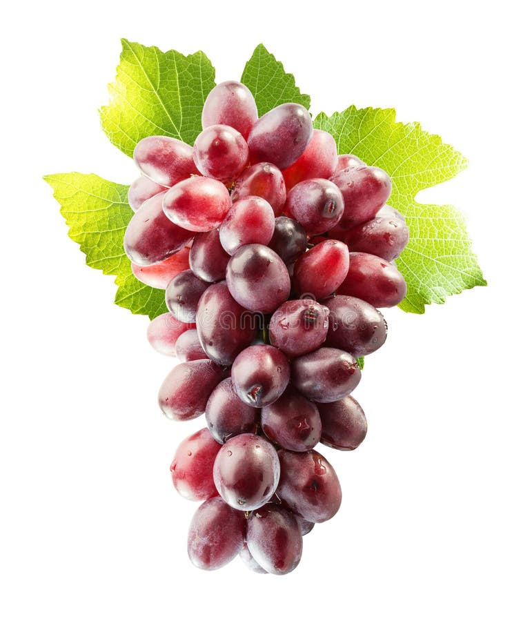 Pink grape isolated on the white background royalty free stock photography Pink grape isolated on the white background royalty free stock photography