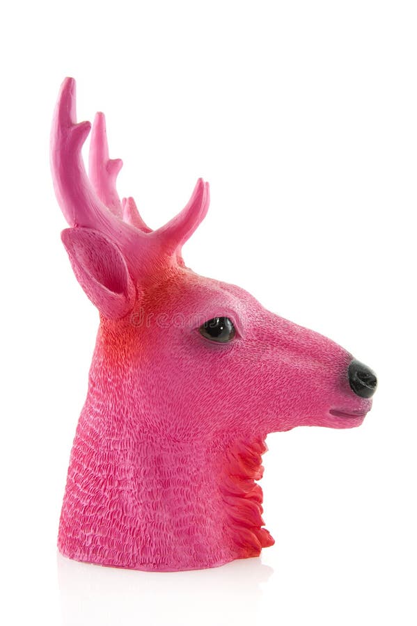 Pink head of a deer royalty free stock photography