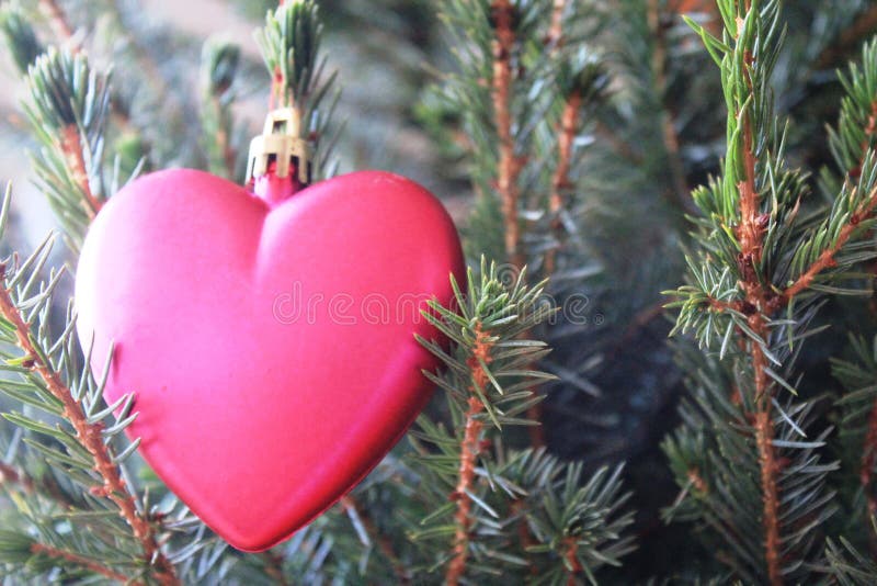 Pink heart on the Christmas tree. Symbol of love and peace. Xmas decoration makes the time spent with family and friends more special.