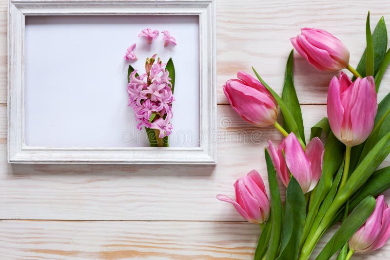 Pink Hyacinth in white wooden frame And Bouquet of pink tulips. Top view, close-up, flat lay on white wooden background royalty free stock photo Pink Hyacinth in white wooden frame And Bouquet of pink tulips. Top view, close-up, flat lay on white wooden background royalty free stock photo