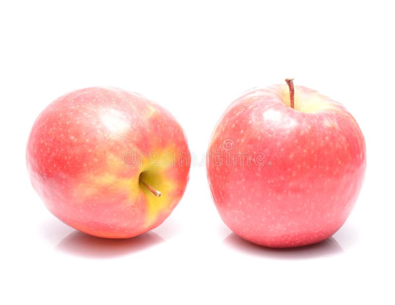 Pink Lady apples stock photo. Image of fresh, allergy 125138422