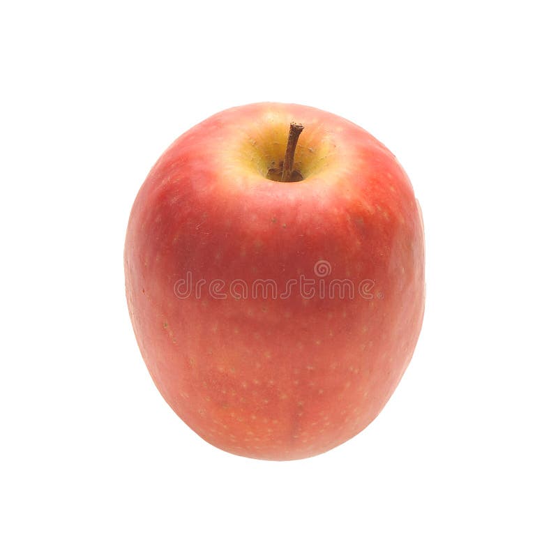 Pink Lady Eating Apple Isolated on White Square Format Stock Photo