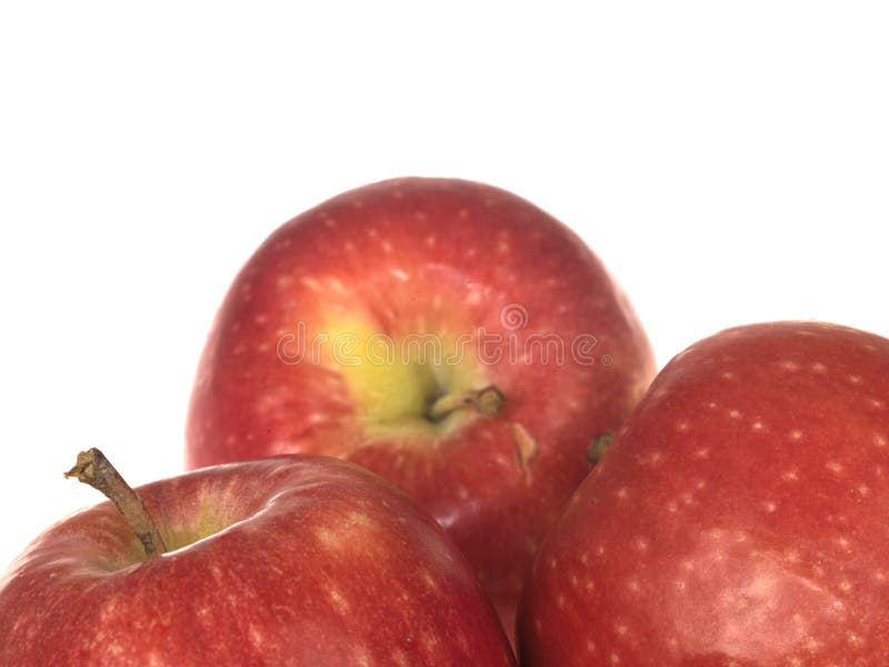 Pink Lady Red Apples stock image. Image of healthy, fruit 24345575