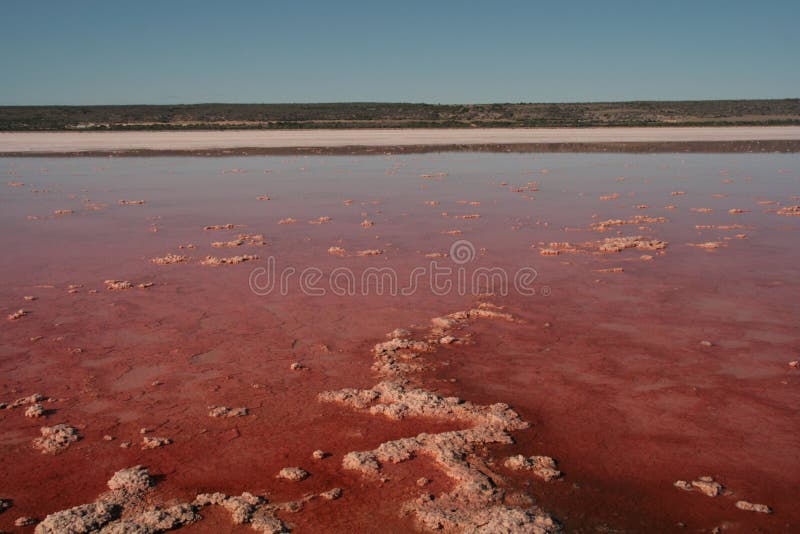 Pink Lake - Australia stock images Pink Lake - Australia stock images