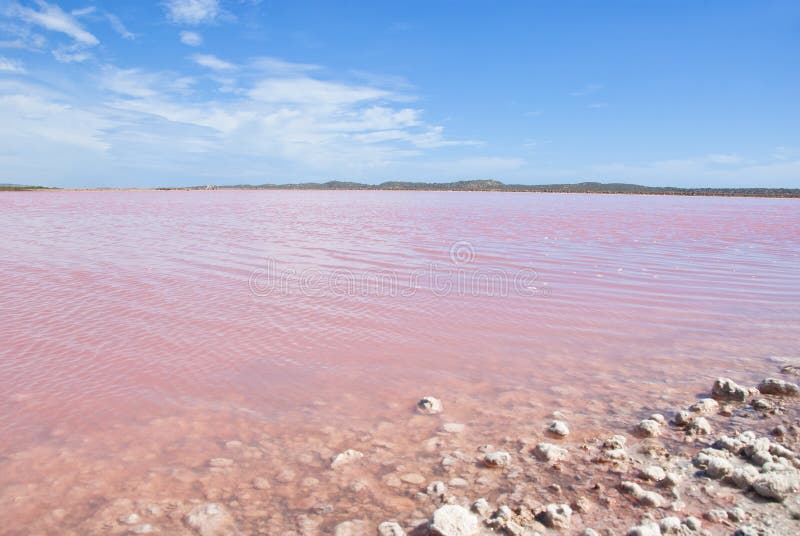 Pink Lake, Western Australia stock photography Pink Lake, Western Australia stock photography