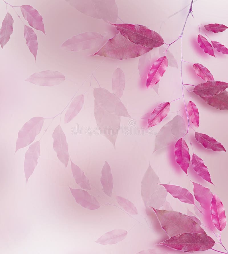 Pink leaves frame stock photo. Image of organic, macro - 25298404